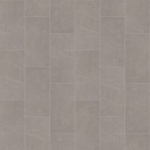 FERVOR 12X24 in Vision Tile