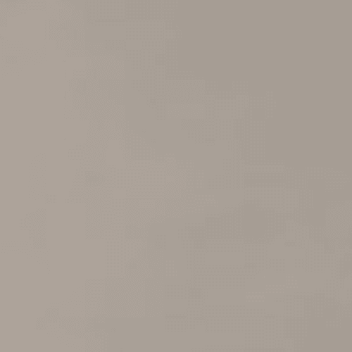 Neoconcrete in Light Gray-12x24-Light Polished Tile