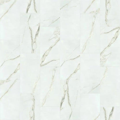 VISION 12X24 MATTE in Calacatta