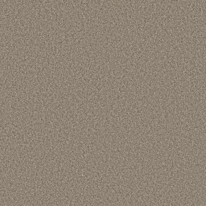 TWEED COMFORT II