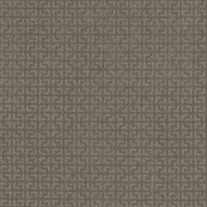 Vastly in Iced Mocha Carpet