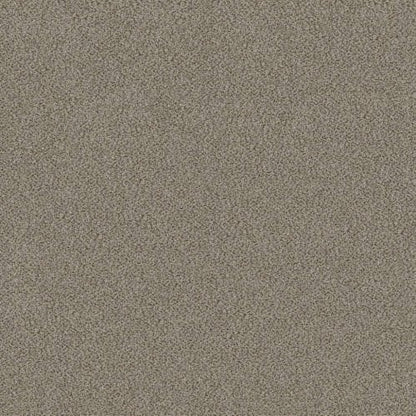 TRUSPLENDOR