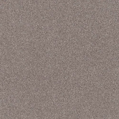 TRUSPLENDOR in Stainless Carpet