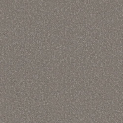 Clever Choice in Lunar Haze Carpet