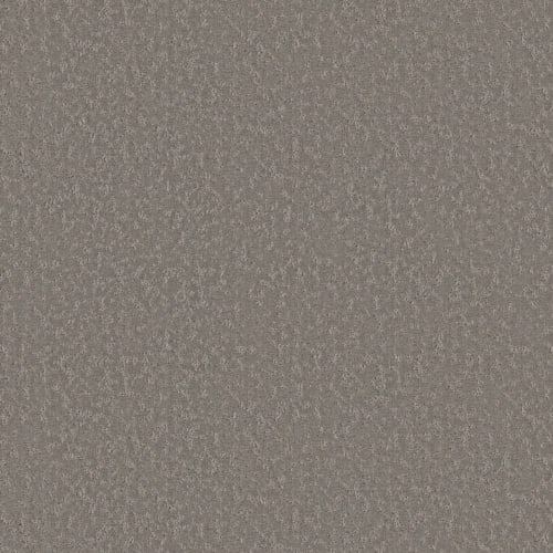 Clever Choice in Lunar Haze Carpet