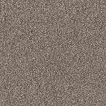 TRUSPLENDOR