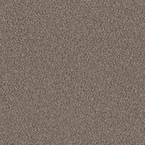American Spirit in Cobble Drive Carpet