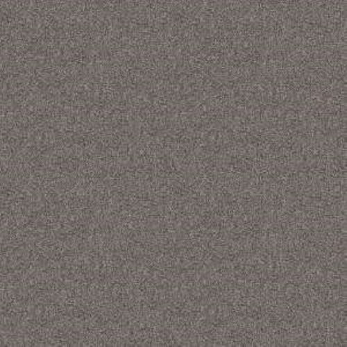 TAKE AWAY (T) in Truffle Carpet