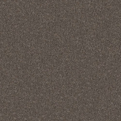 YES YOU CAN I 12' in Cafe Noir Carpet