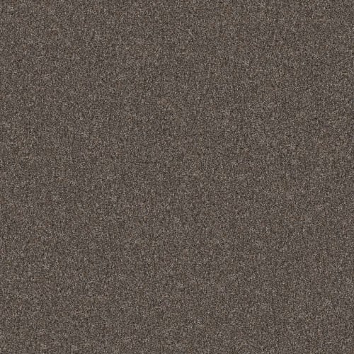 YES YOU CAN I 12' in Cafe Noir Carpet