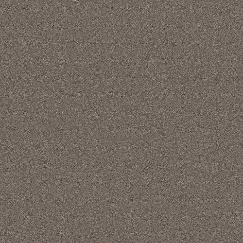 Wonderland Iii 12' in Smoked Tan Carpet
