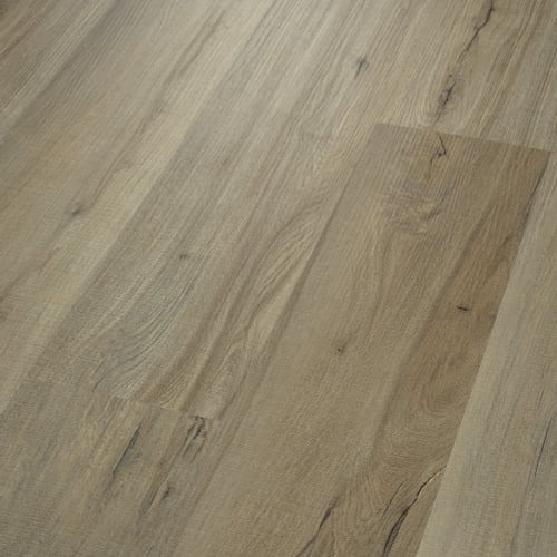 PARAMOUNT 512C PLUS in Driftwood