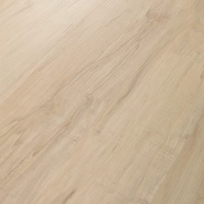 PARAMOUNT 512C PLUS in Spalted Maple