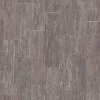 Serendipity in Leo