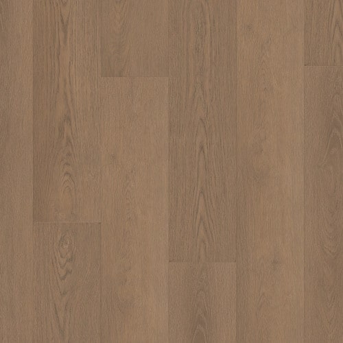 Paragon Hd Plus Nb in Rutledge Luxury Vinyl