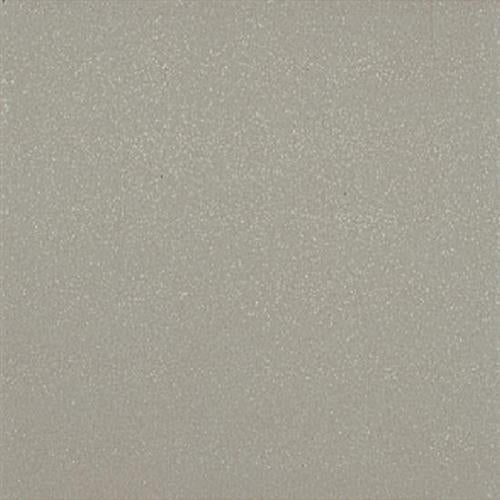 Quarry Naturals in Shadow Gray - Matte