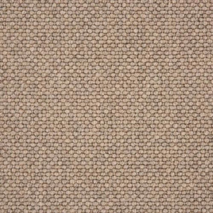 Gobi Berber