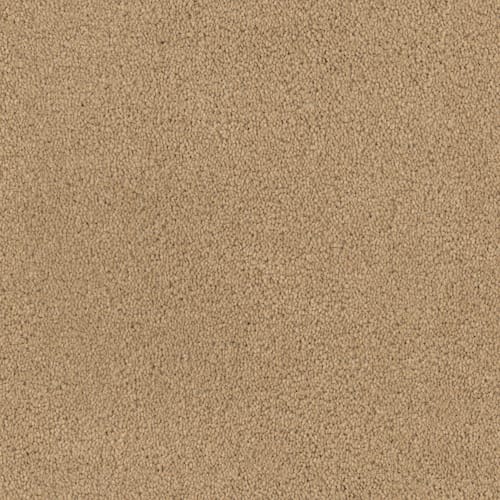 Tribute in Corvo Carpet