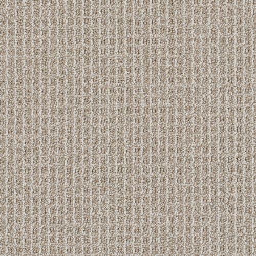 Valencia in Capri Carpet