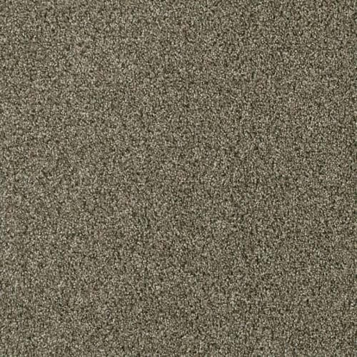 Acclaim in Monaco Carpet