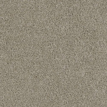 Accolade in Vela Carpet