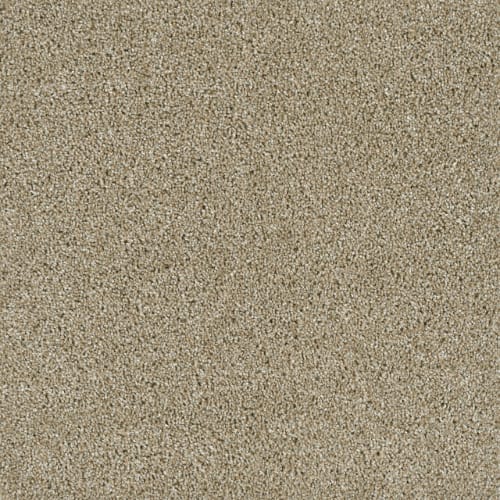 Rave Review in Outback Carpet