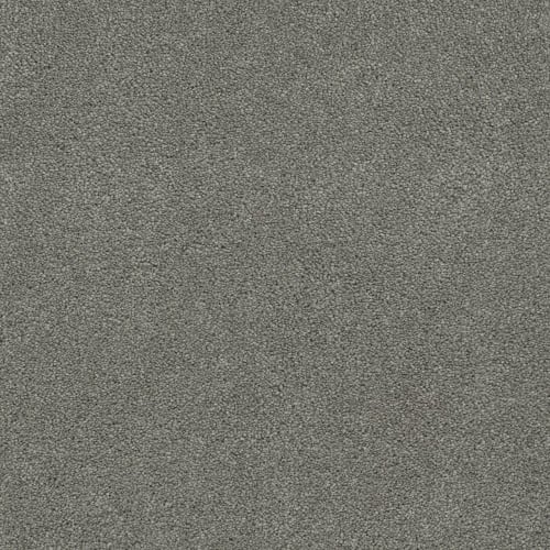 Coronado II in Vintage Pewter Carpet