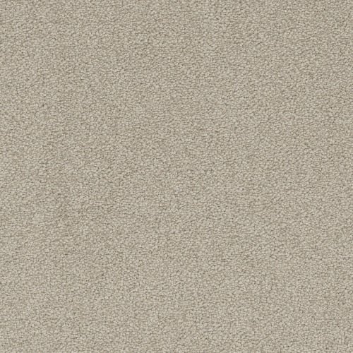 Laramie II in Olivewood Carpet