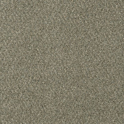 Open Field in Smooth Sailing Carpet