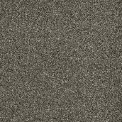 Newport III in Baltic Birch Carpet
