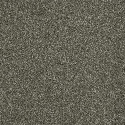 Newport III in Baltic Birch Carpet
