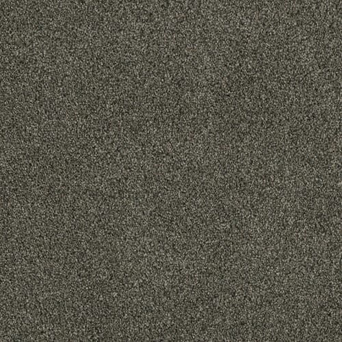Profound III in Midnight Shadow Carpet