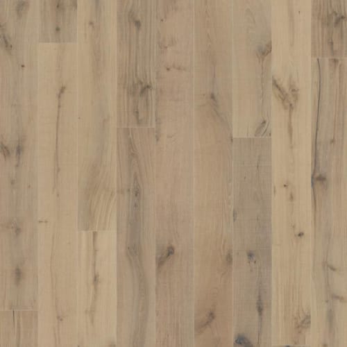 Texture Collection in Weiss