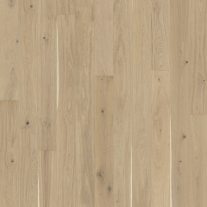 Lux Collection in Oak Eggshell