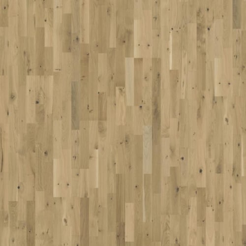 Beyond Retro Collection in Urban Brown Strip