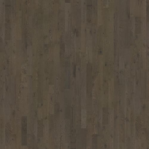 Beyond Retro Collection in Charcoal Light Strip