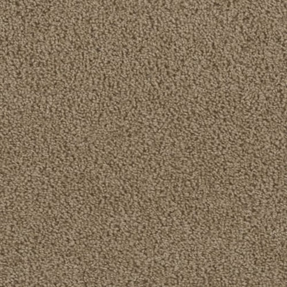 Preseason in 1858 Carpet