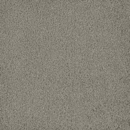 Hammond Creek II in Silver Birch Carpet