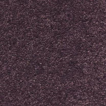 Esperanza in Morado Carpet