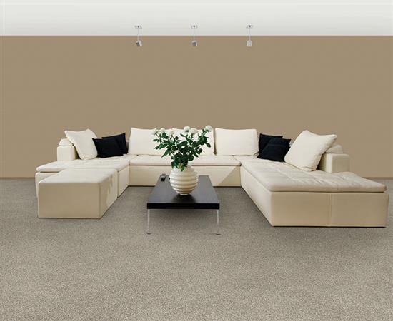 Semitones in Parchment Carpet