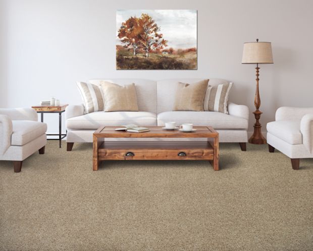 Medalist in Overcast Carpet