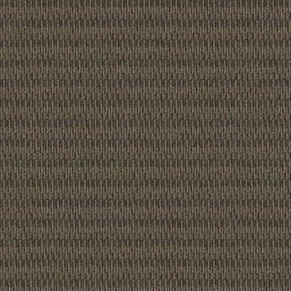 Classify in Describe Carpet