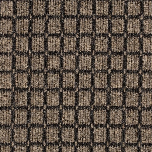 Rule Breaker 26 Wp in Onyx Carpet
