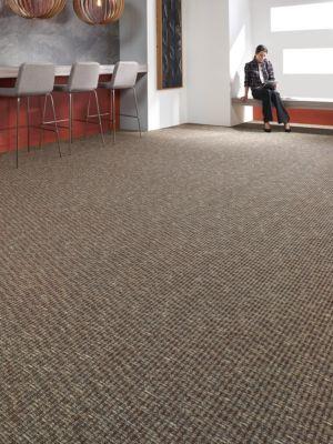 Inspiring Moment in Peak Performance Carpet