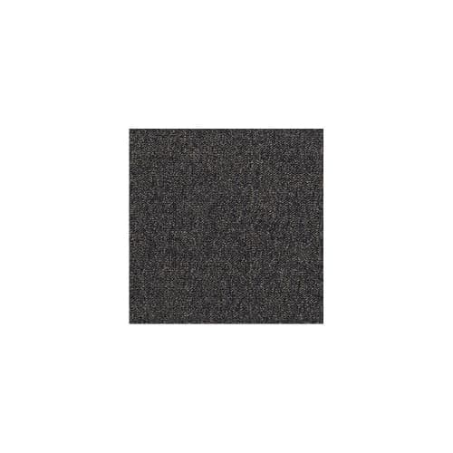 Scholarship Ii 20 in Bark Carpet