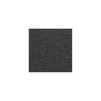 Scholarship Ii 20 in Bark Carpet