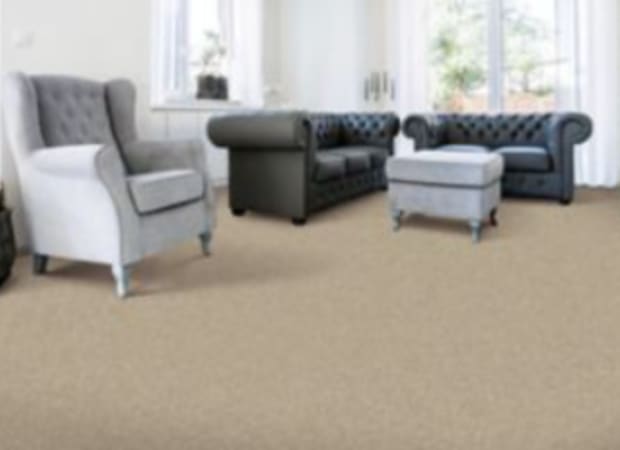 Brilliant Idea in Sparkling Cider Carpet