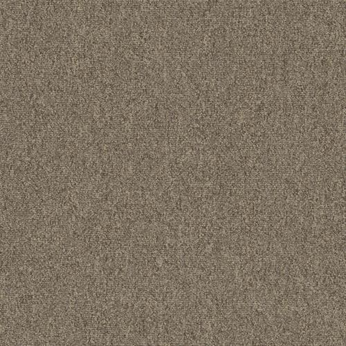 Diversified 20