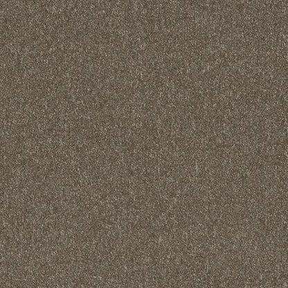 Diversified 20 in Varied Carpet