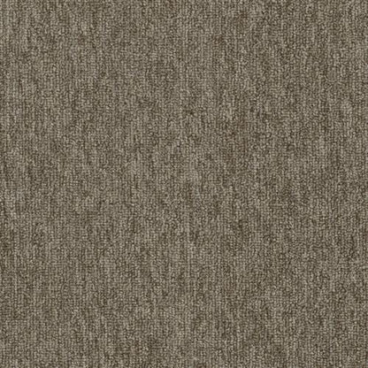 Quicksilver 20 in Silicon Carpet